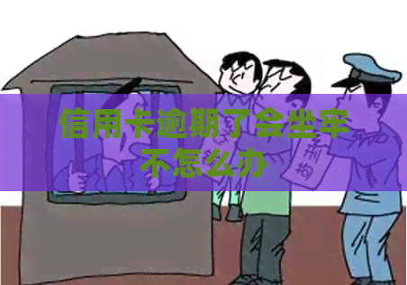 信用卡逾期了会坐牢不怎么办