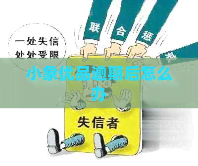 小象优品逾期后怎么办