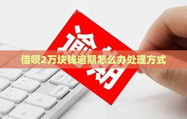 网贷2万块钱逾期怎么办处理方式