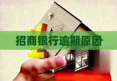 招商银行逾期原因