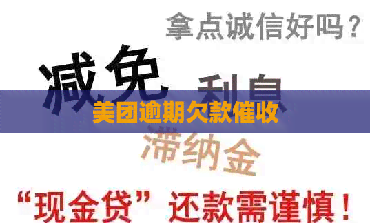 美团逾期欠款