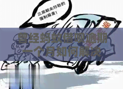曾经蚂蚁网贷逾期一个月如何解决