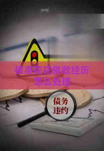 被惠花花经历怎么处理