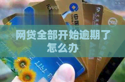 网贷全部开始逾期了怎么办