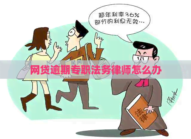 网贷逾期专职法务律师怎么办