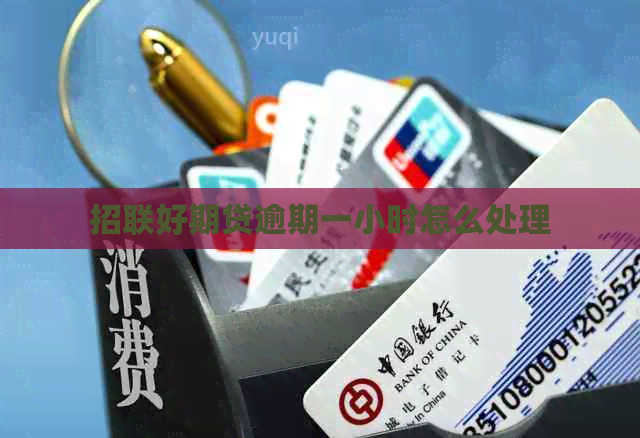 招联好期贷逾期一小时怎么处理