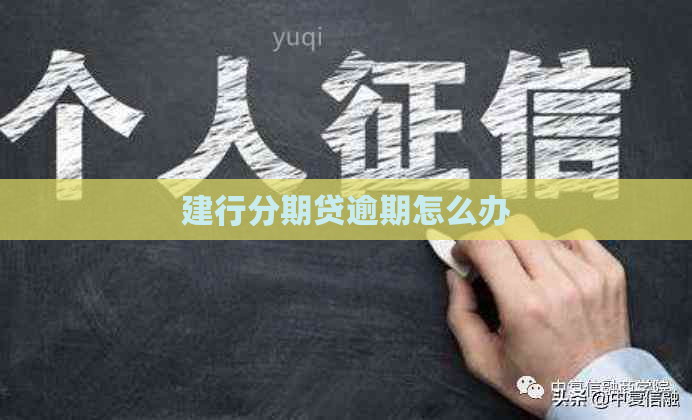 建行分期贷逾期怎么办