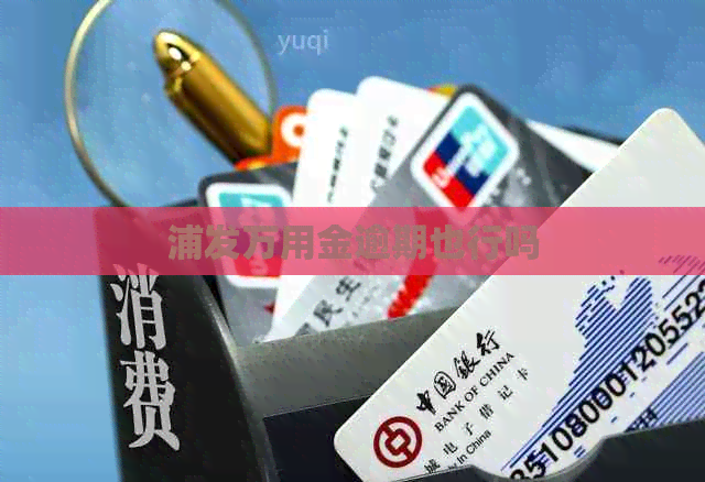 浦发万用金逾期也行吗