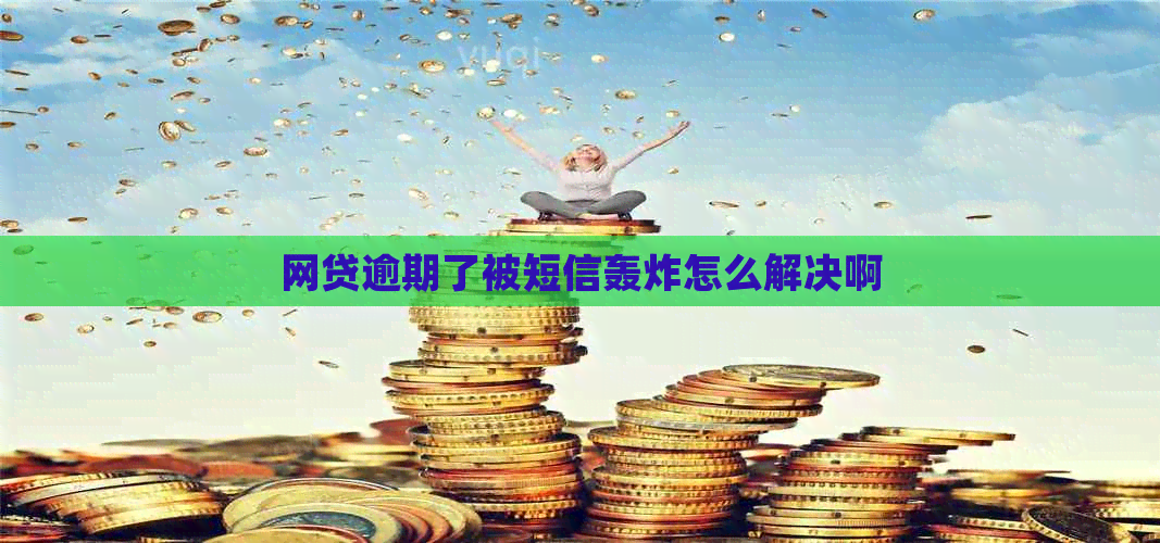 网贷逾期了被短信轰炸怎么解决啊