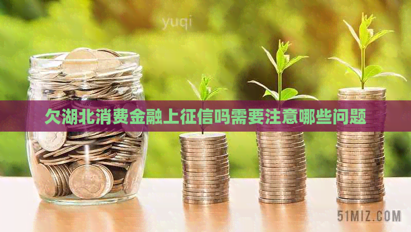 欠湖北消费金融上吗需要注意哪些问题