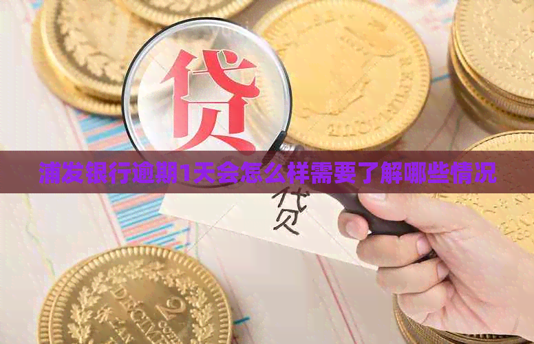 浦发银行逾期1天会怎么样需要了解哪些情况