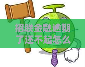 招联金融逾期了还不起怎么办