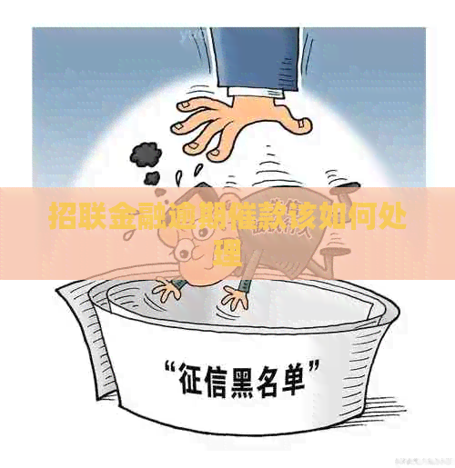 招联金融逾期催款该如何处理