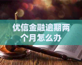优信金融逾期两个月怎么办