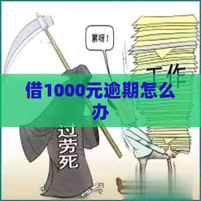 借1000元逾期怎么办