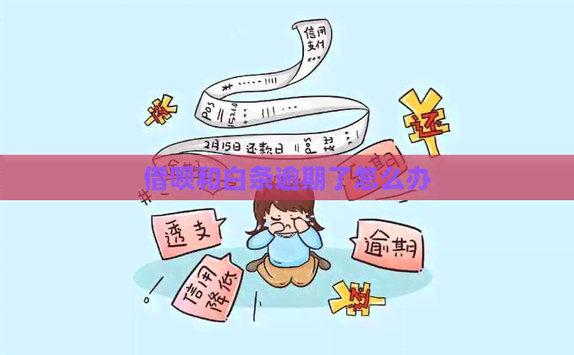 网贷和白条逾期了怎么办