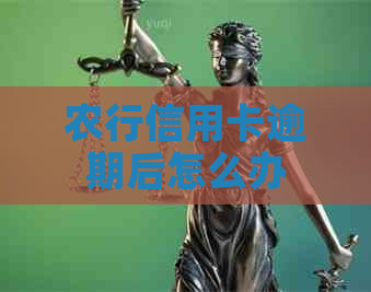 农行信用卡逾期后怎么办