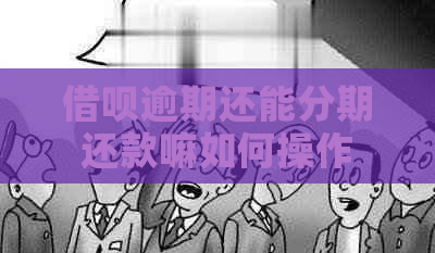 网贷逾期还能分期还款嘛如何操作