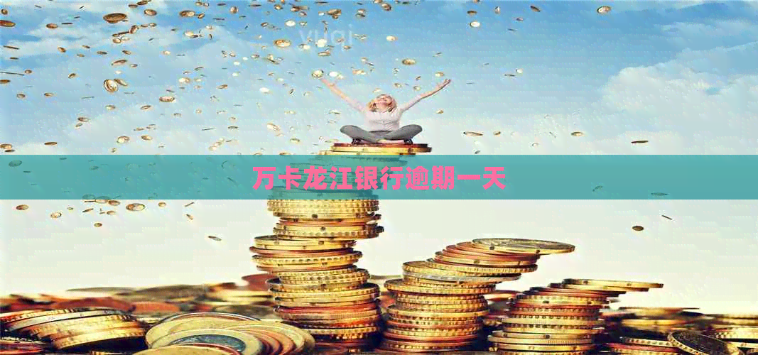 万卡龙江银行逾期一天