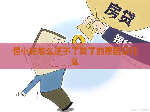 恒小花怎么还不了款了的原因是什么