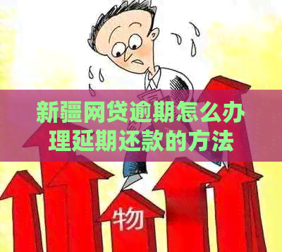 新疆网贷逾期怎么办理延期还款的方法
