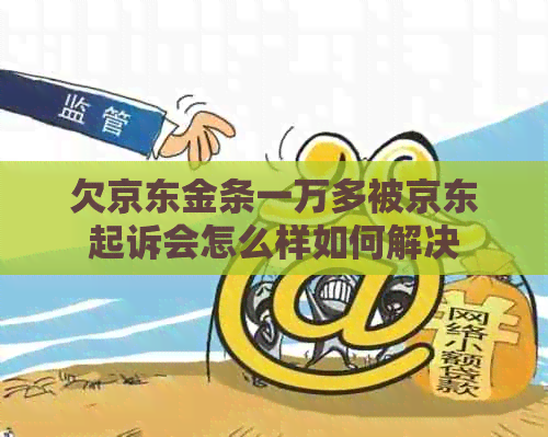 欠京东金条一万多被京东起诉会怎么样如何解决