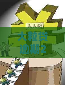 大粒贷逾期2天
