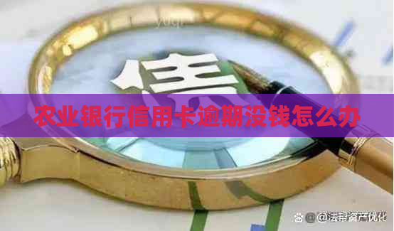 农业银行信用卡逾期没钱怎么办