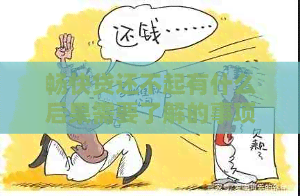 畅快贷还不起有什么后果需要了解的事项