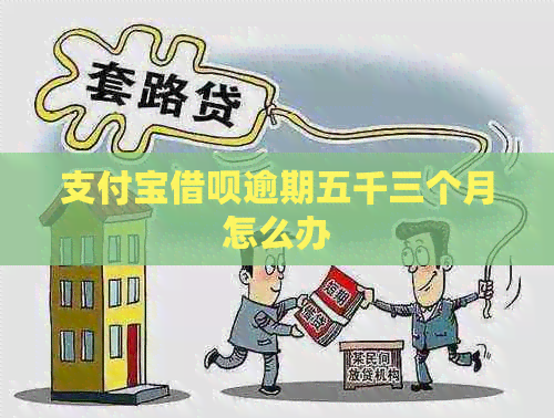 支付宝网贷逾期五千三个月怎么办