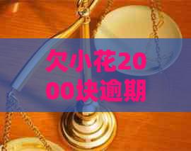 欠小花2000块逾期了怎么办