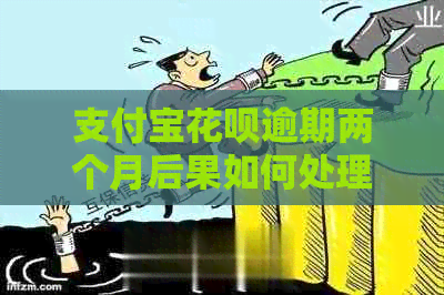 支付宝信用卡逾期两个月后果如何处理