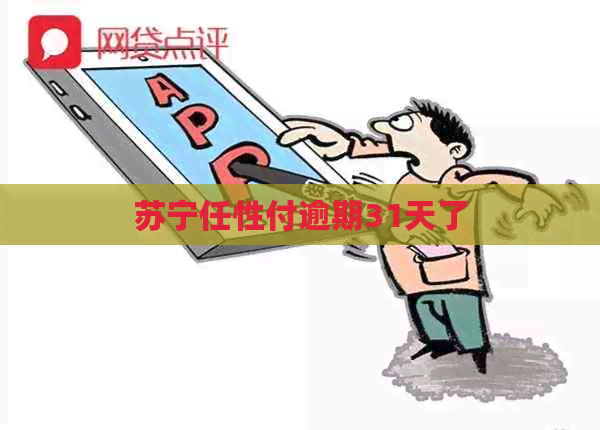 苏宁任性付逾期31天了