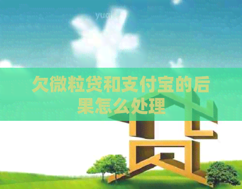 欠微粒贷和支付宝的后果怎么处理