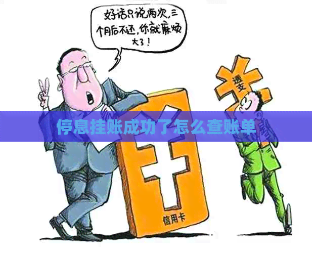 停息挂账成功了怎么查账单