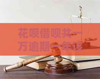 信用卡网贷共一万逾期一年该怎么处理