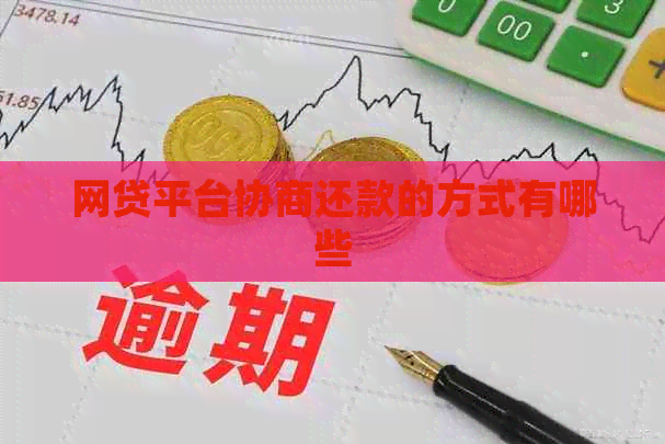 网贷平台协商还款的方式有哪些