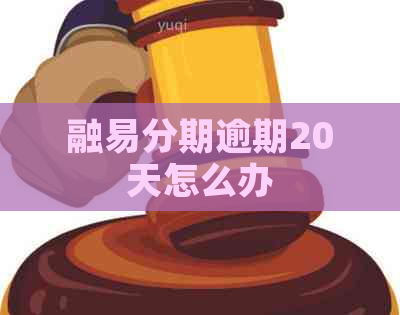 融易分期逾期20天怎么办