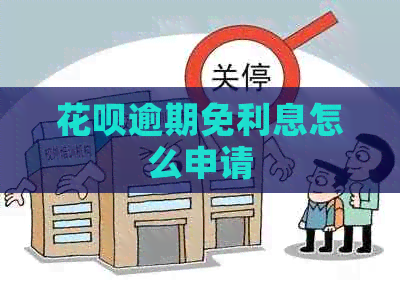 信用卡逾期免利息怎么申请