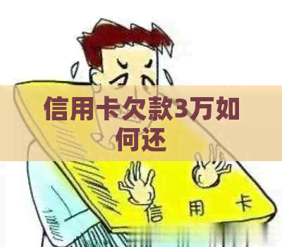信用卡欠款3万如何还