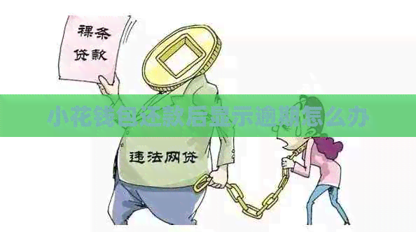 小花钱包还款后显示逾期怎么办