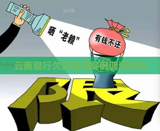 云南银行欠款逾期案例调查报告