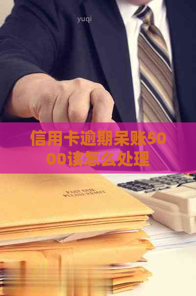 信用卡逾期呆账5000该怎么处理