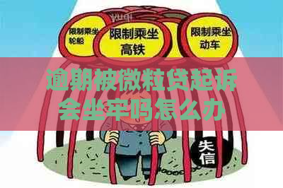 逾期被微粒贷起诉会坐牢吗怎么办