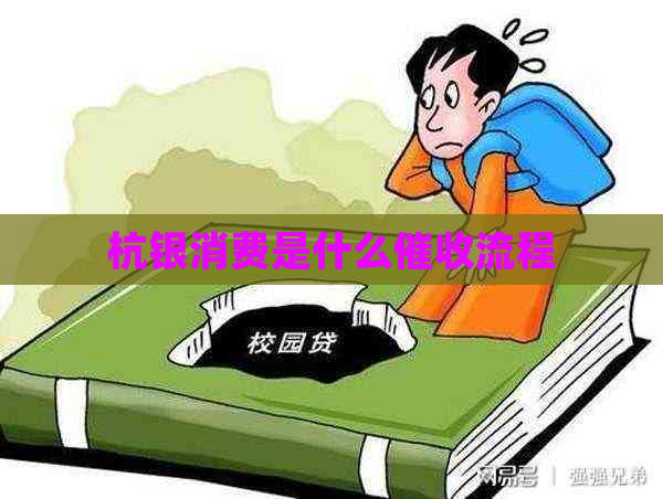 杭银消费是什么流程