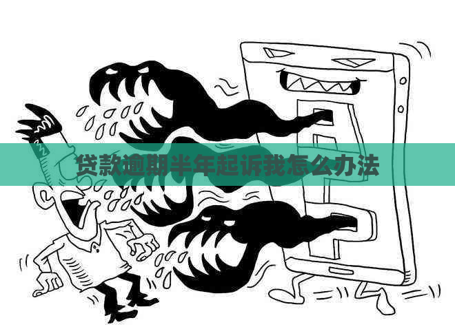 贷款逾期半年起诉我怎么办法