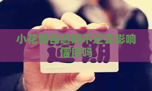 小花钱包逾期不还会影响信用吗