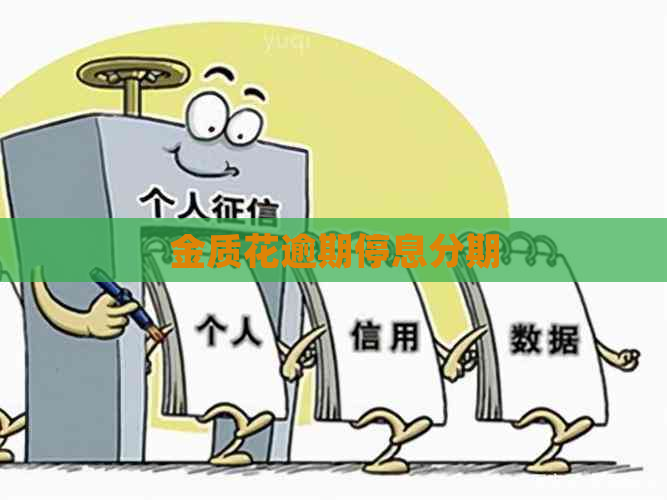 金质花逾期停息分期