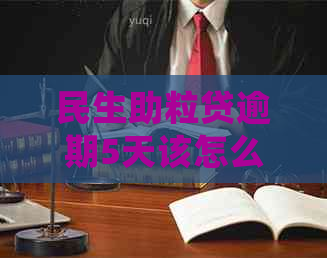 民生助粒贷逾期5天该怎么处理