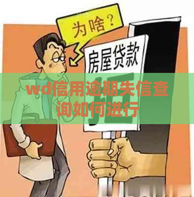 wd信用逾期失信查询如何进行